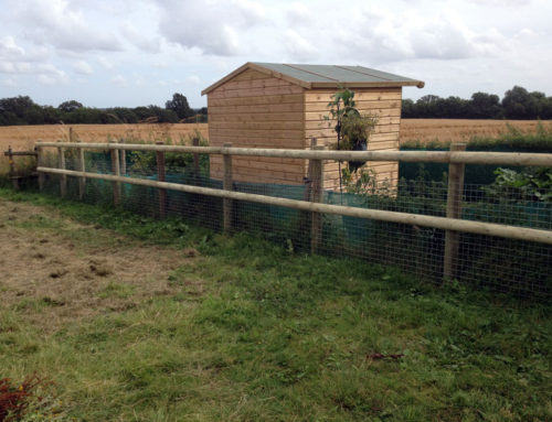 Timber Post and Rail