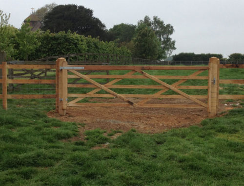 Wooden Paddock Gates